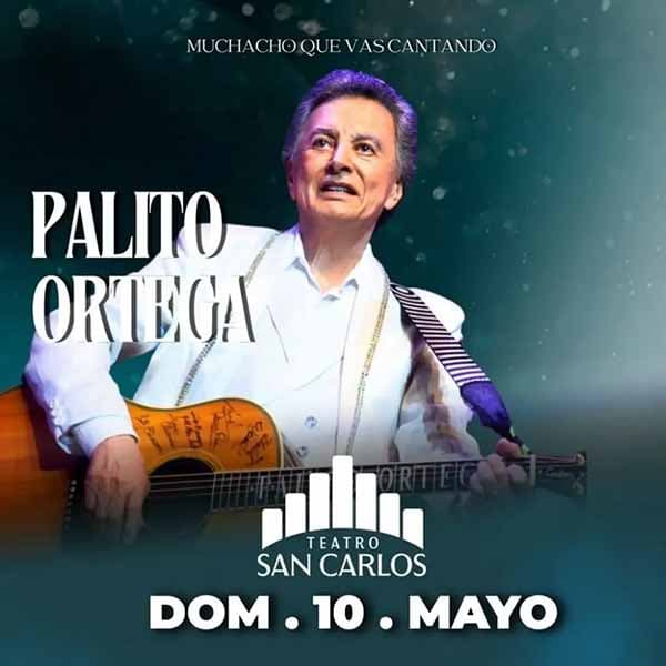 Flyer de Palito Ortega