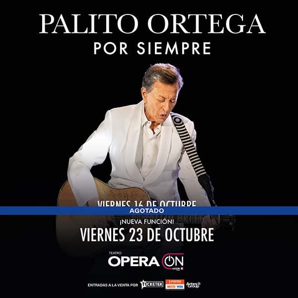 Flyer de Palito Ortega