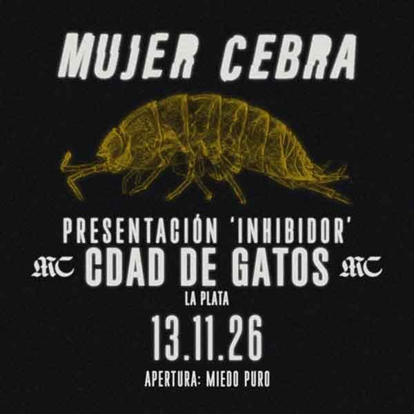 Flyer de Mujer Cebra