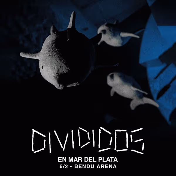 Flyer de Divididos