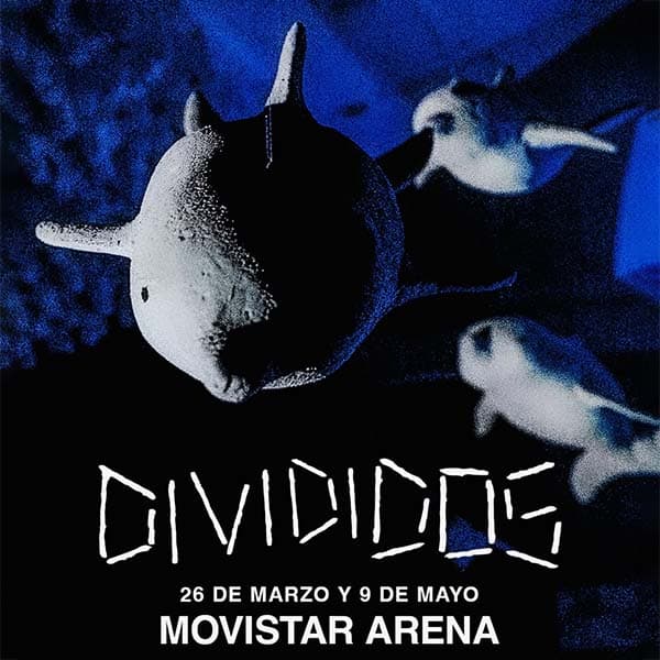Flyer de Divididos