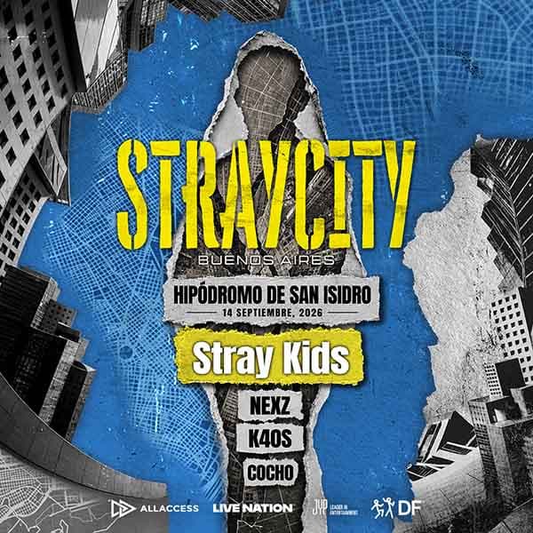 Flyer de Stray Kids