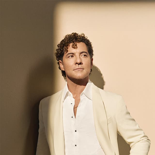 Foto de David Bisbal