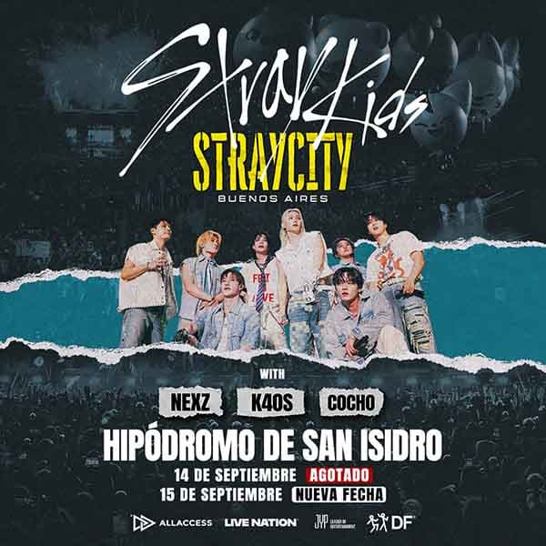 Flyer de Stray Kids